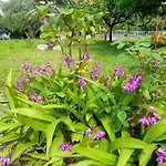 Bellavista 37 펜션 바르돌리노