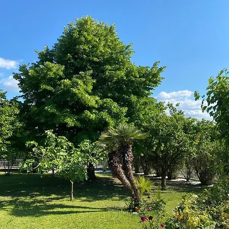 Bellavista 37 Casa vacanze Bardolino