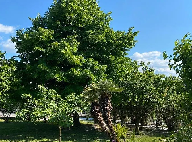 Bellavista 37 Vakantiehuis Bardolino