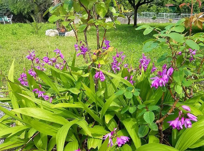 Bellavista 37 Vakantiehuis Bardolino