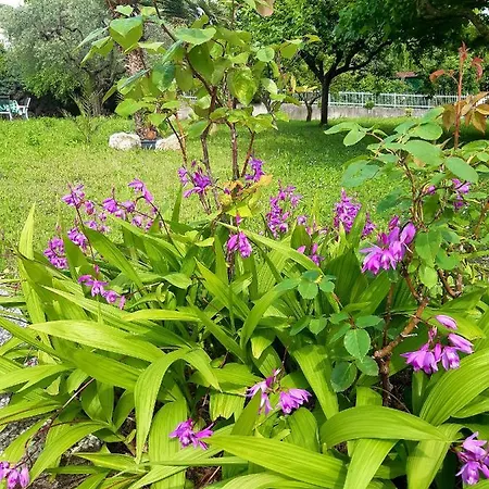 Bellavista 37 Prázdninový dům Bardolino